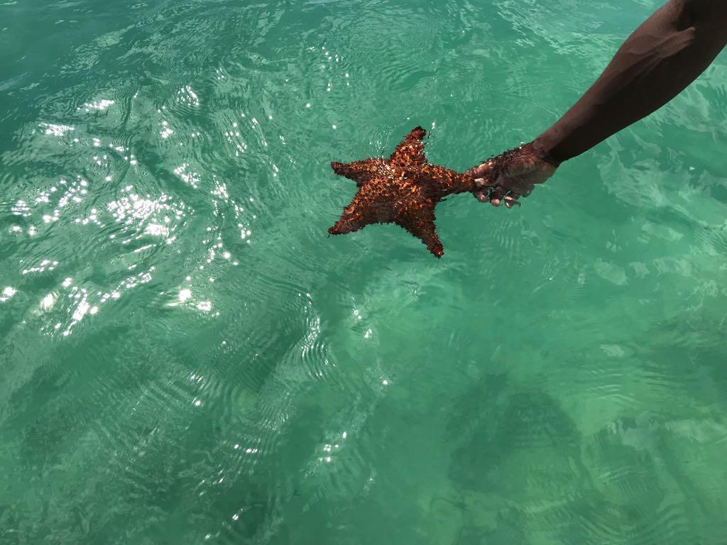 Habitacion En Sol Dominicus Solo Adultos Bayahibe Zewnętrze zdjęcie